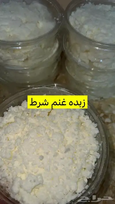 لبا غنم مطبوخ حياكم الله السطل 40 8
