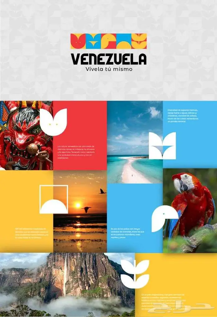 تصميم شعارات وهويات 11