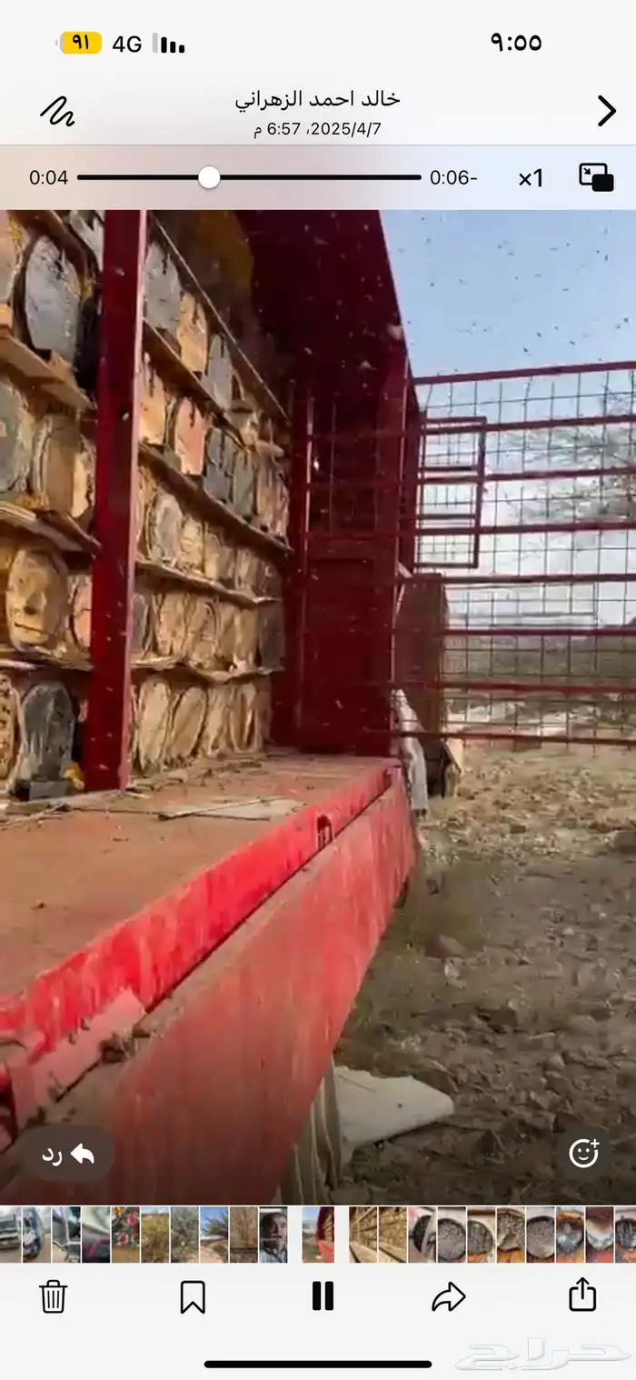 نحل للبيع 0