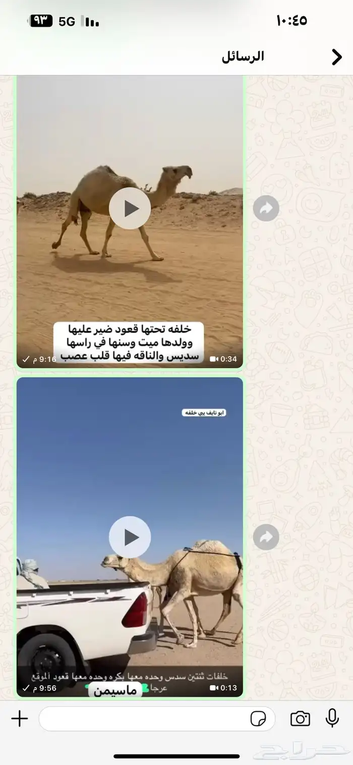 الابل و سيارات 2