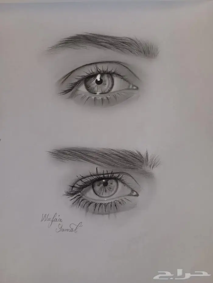 دروس تعليم رسم خصوصية 5