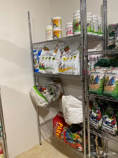 متجر ابو طلال لجميع انواع الحيوانات الرياض الدمام مكه جده 10