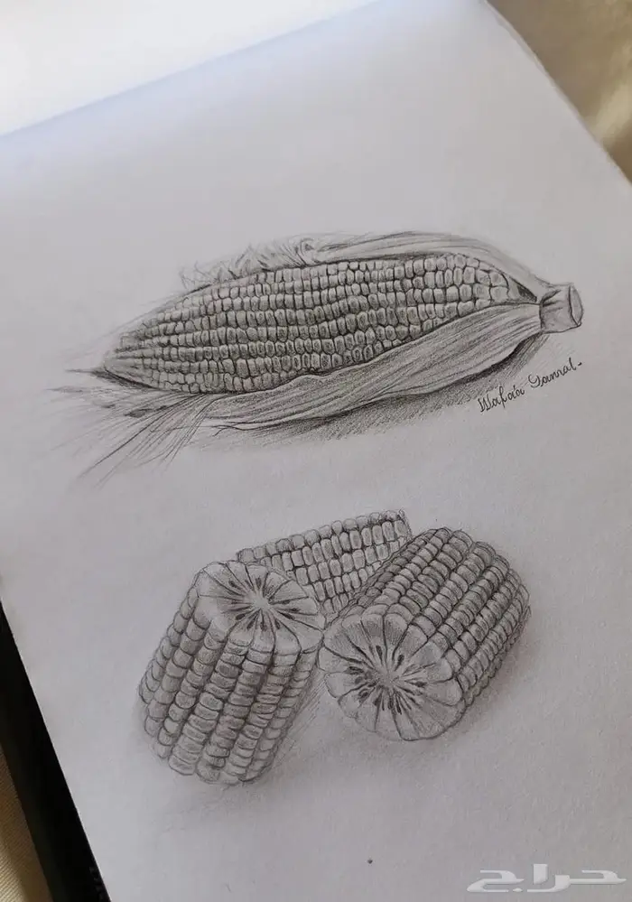 دروس تعليم رسم خصوصية 14