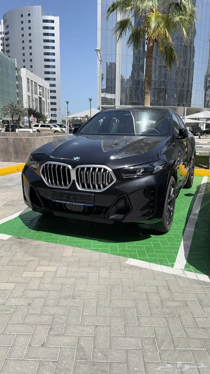 بي ام دبليو BMW X6 2025 0