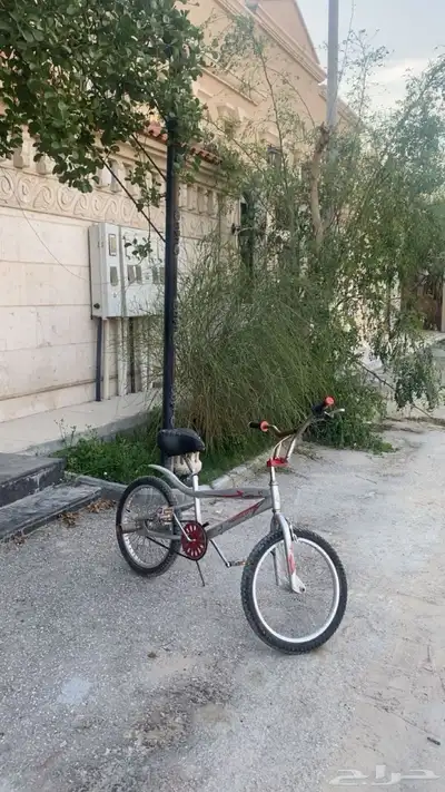سيكل كوبرا 1