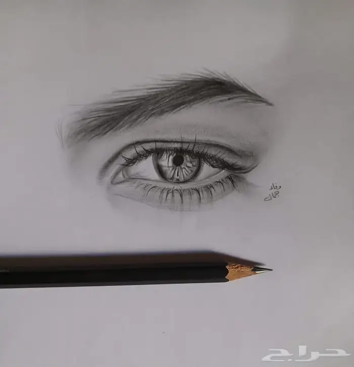 دروس تعليم رسم خصوصية 2