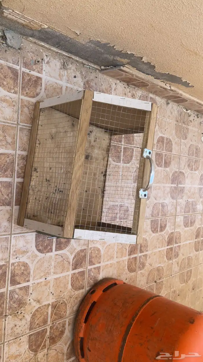 شبك او قفص 0