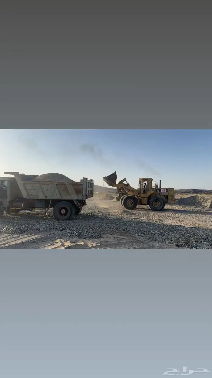 قلاب عايدي بوز بالإيجار اليوم وشهري ورد ومعه شيوال 66 دي 0