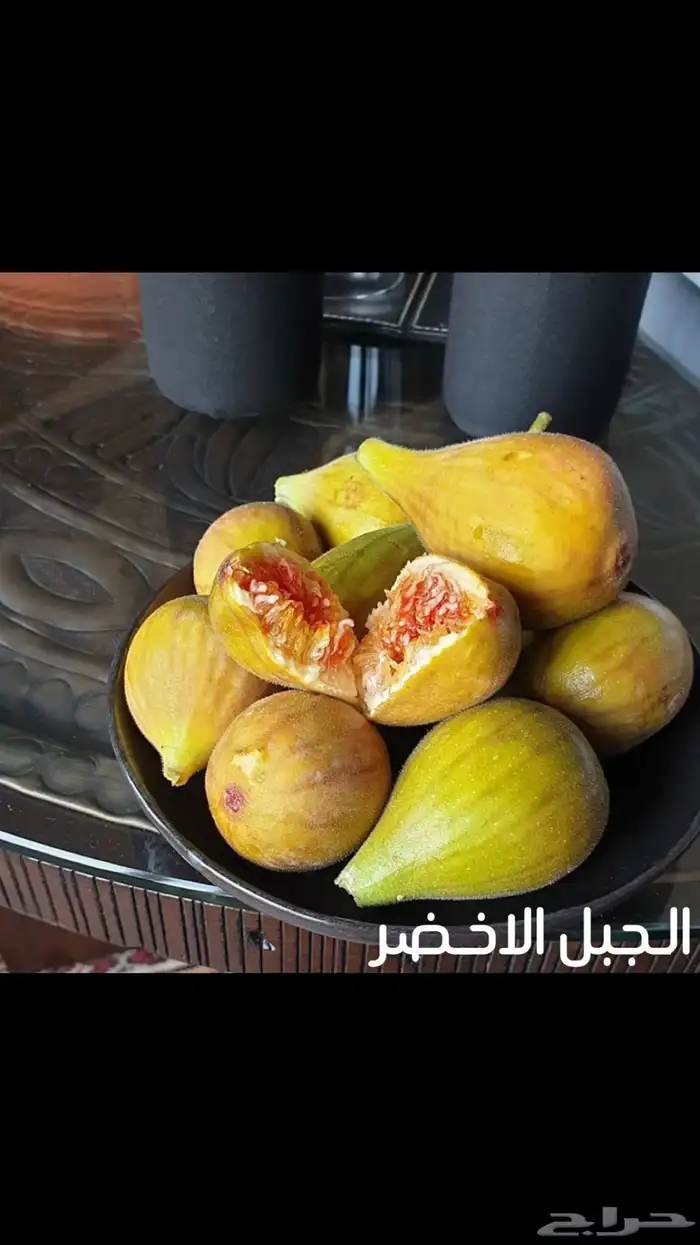 شتلات تين عالمية  نفذت الكميات 16
