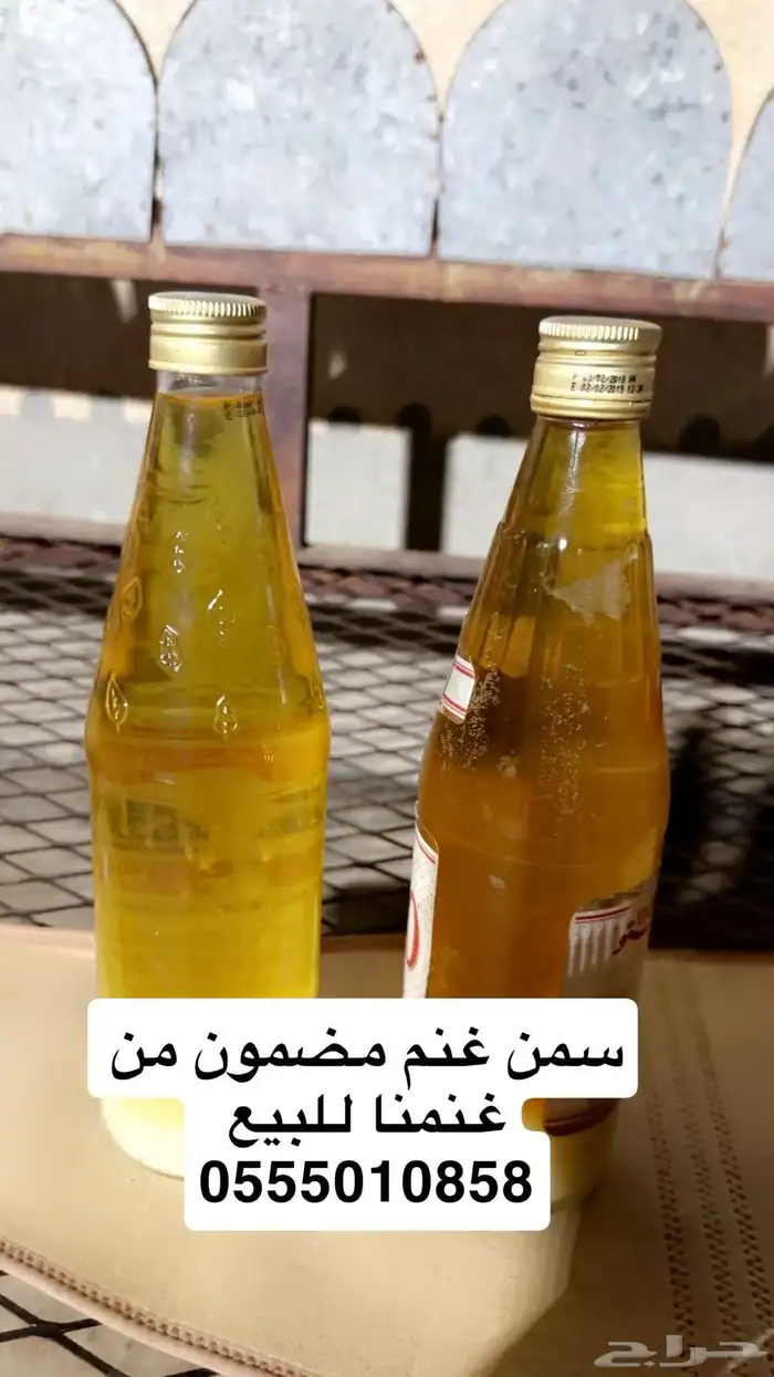 سمن غنم دهم بلدي شغل بيت 1