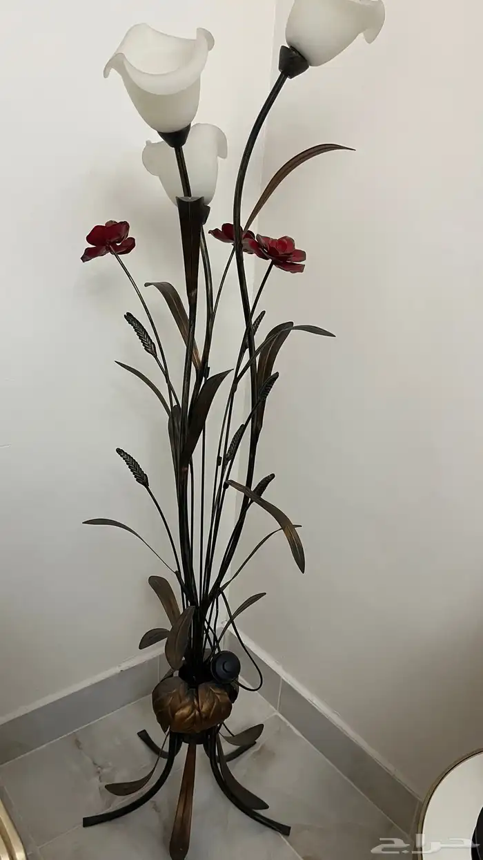 ابجوره طويله وشجره طويله 0