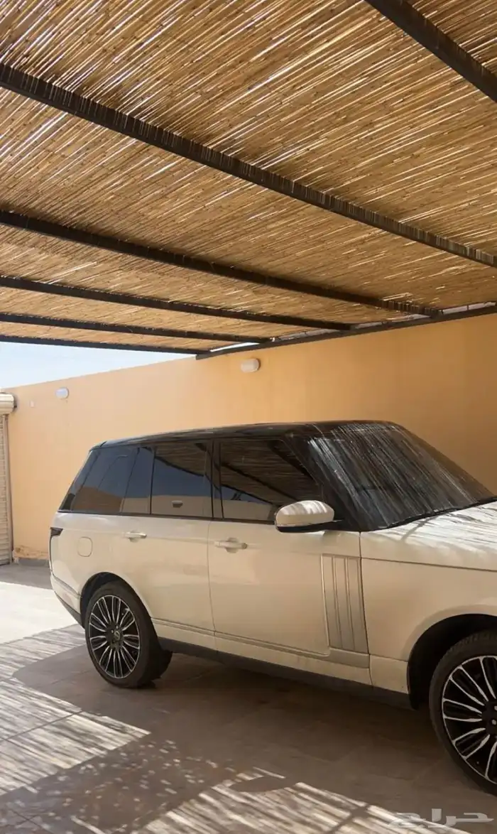 خيزران بامبو 12