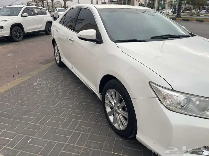 شد بلد  وعلى الشرط والفحص 1