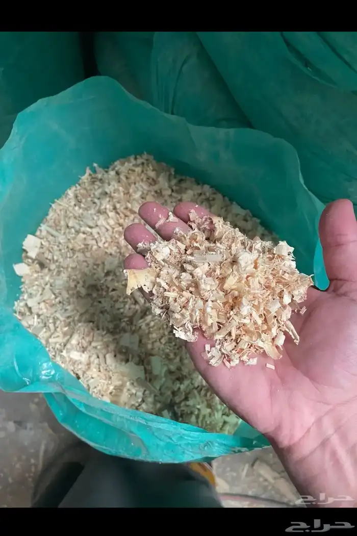 نشارة خشب نظيفة الخرج 2