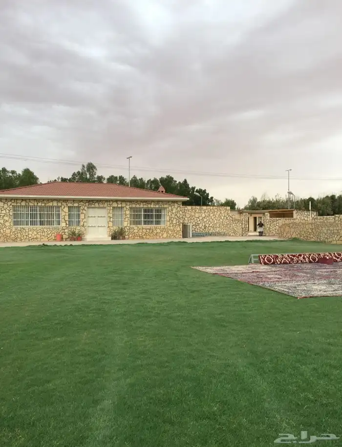 مزرعة للبيع المزاحميه ( جو ) مقسمه على 3 صكوك بمساحة 49 ألف 7