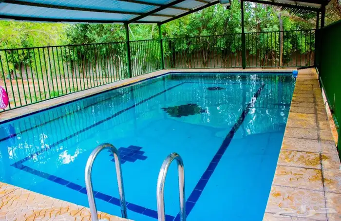 مزرعة للبيع المزاحميه ( جو ) مقسمه على 3 صكوك بمساحة 49 ألف 6