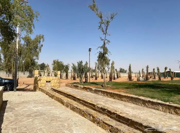 مزرعة للبيع المزاحميه ( جو ) مقسمه على 3 صكوك بمساحة 49 ألف 10