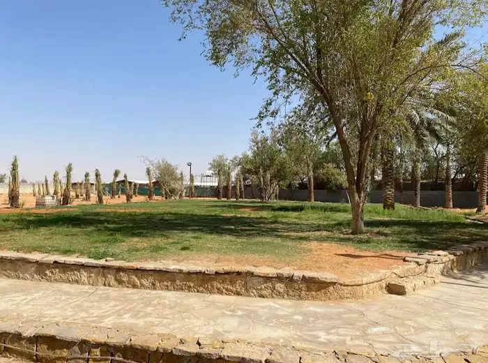 مزرعة للبيع المزاحميه ( جو ) مقسمه على 3 صكوك بمساحة 49 ألف 12