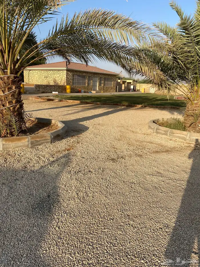 مزرعة للبيع المزاحميه ( جو ) مقسمه على 3 صكوك بمساحة 49 ألف 2