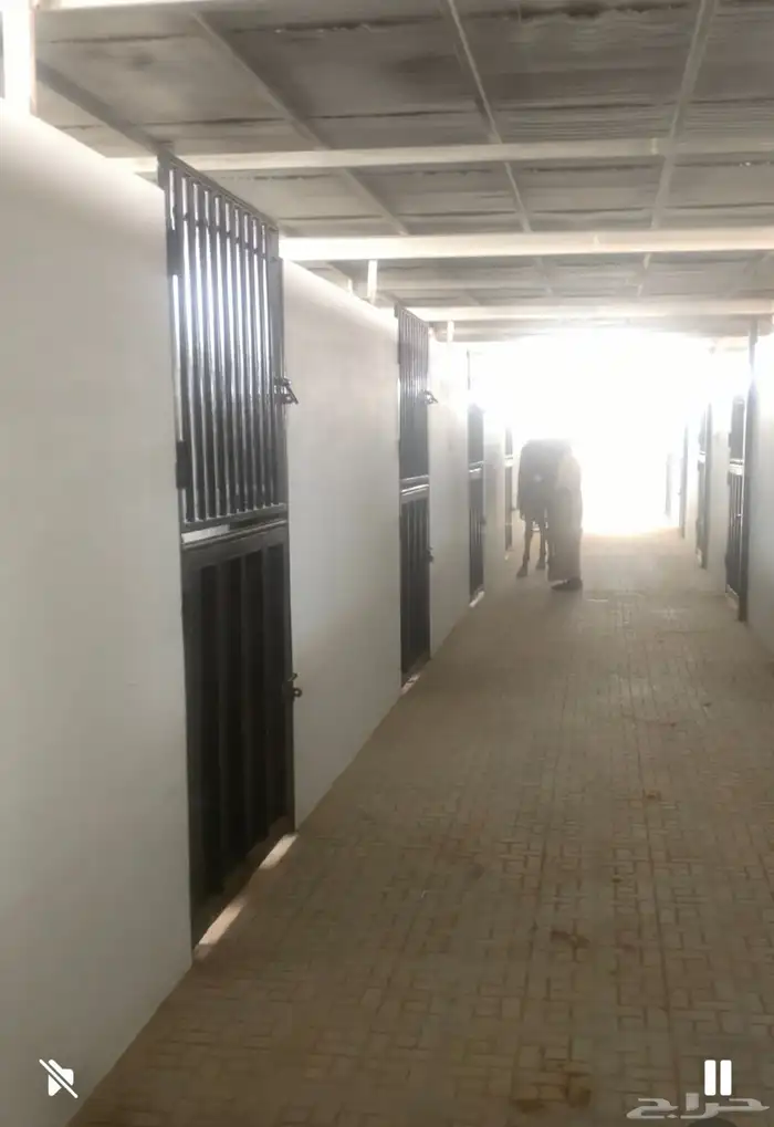إيواء وإسطبل لإيجار مفرق رماح شرق الرياض 1