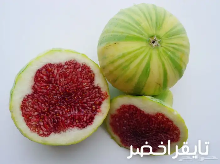 شتلات تين عالمية  نفذت الكميات 4