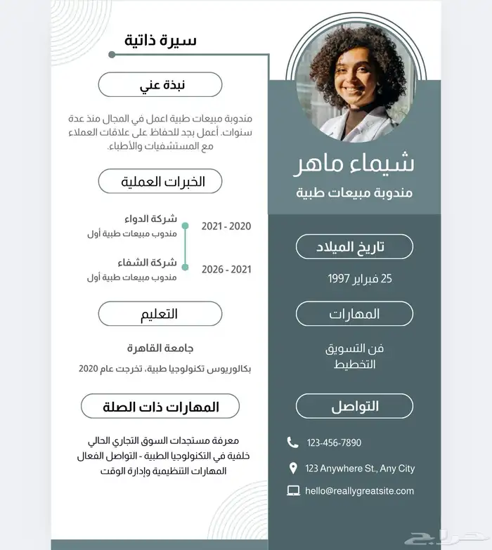 تصميم سيرة ذاتية 3