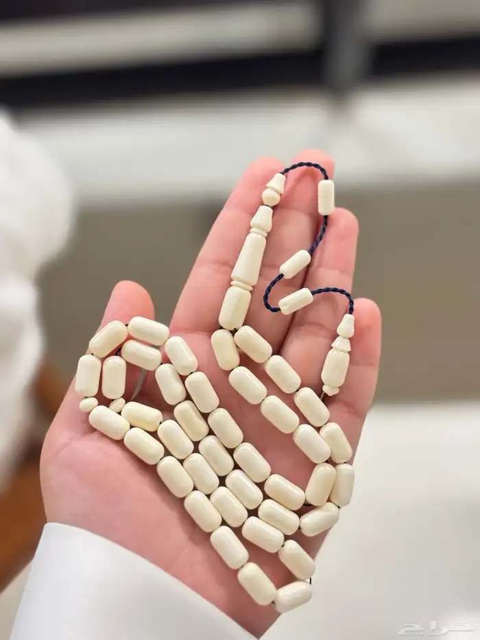 مسباح عضم جمل 1