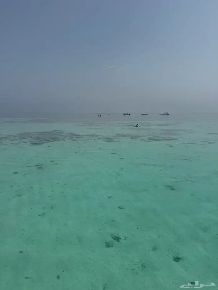 رحلات بياضة رحلات شرم ابحر 6