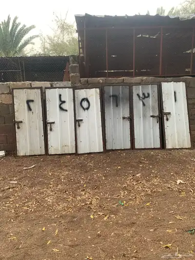 باب دجاج 0