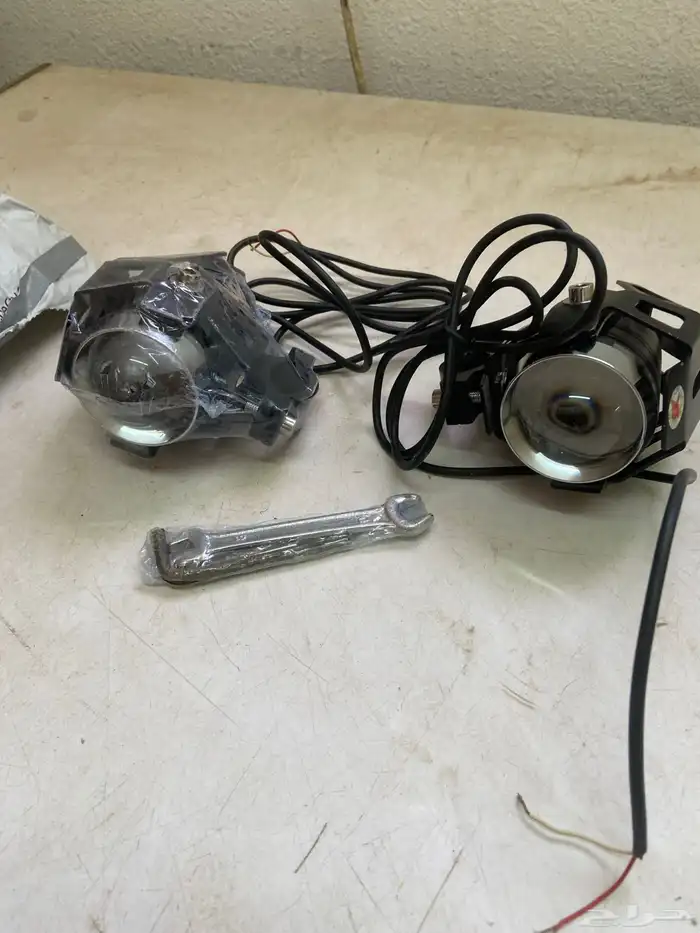 انوار دباب 0