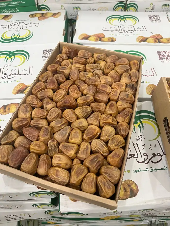 تمر سكري مفتل القصيم 0