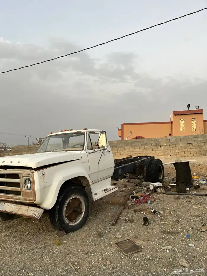 وايت جمس 0