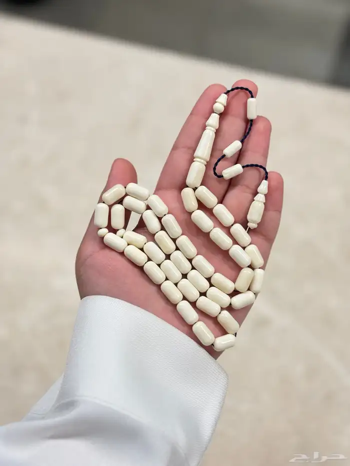 مسباح عضم جمل 0