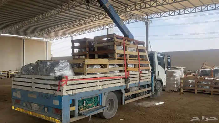 دينه ونش في الرياض الى اي اتجاه ان شاءالله 2