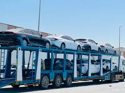 النترا 2020 وصول دفعه جديده مشكله 0