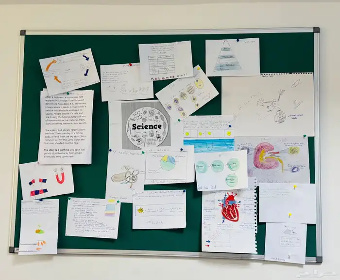 مدرس chemistry و biology 0
