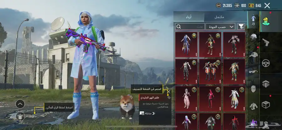 الحساب ببجي للبيع 5