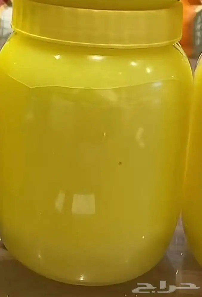 سمن غنم اصفر وجميد مكركم اردني 0