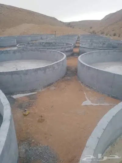 استثمر في الاستزراع السمكي مع أفضل حلول بناء وتشغيل المزارع 5