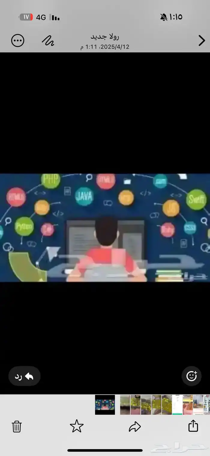 حل جميع الواجبات ولاختبارات 0