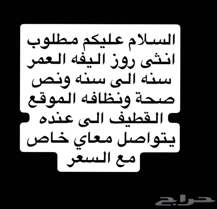 طيور 0