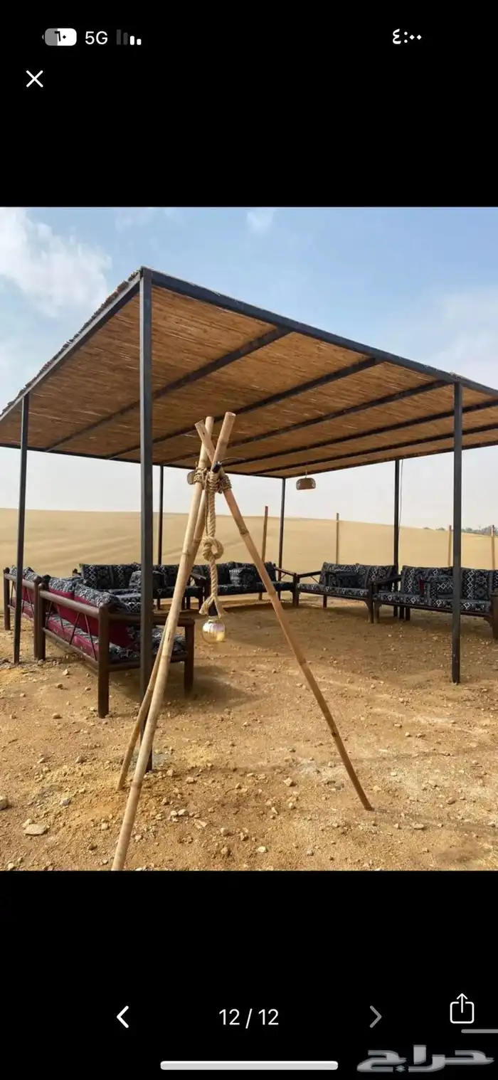 خيزران بامبو 9