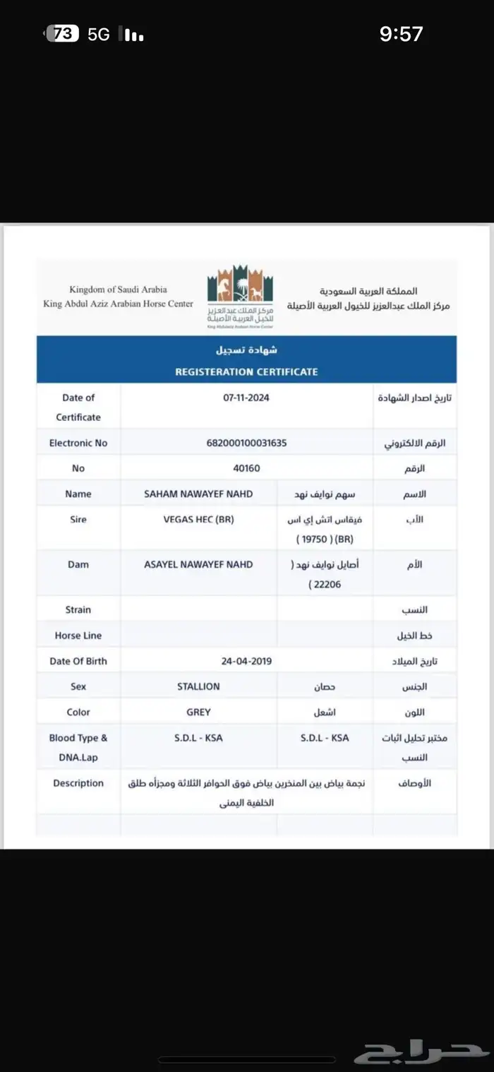 فحل واهو فاخر دماء لعب حركة 13