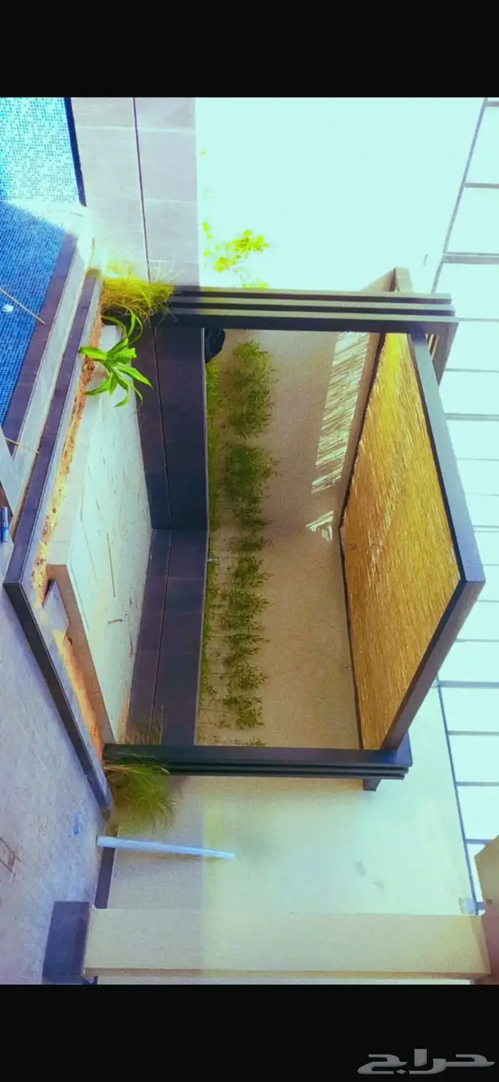 خيزران بامبو 4