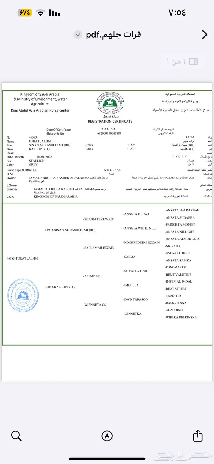 حصان واهو 3