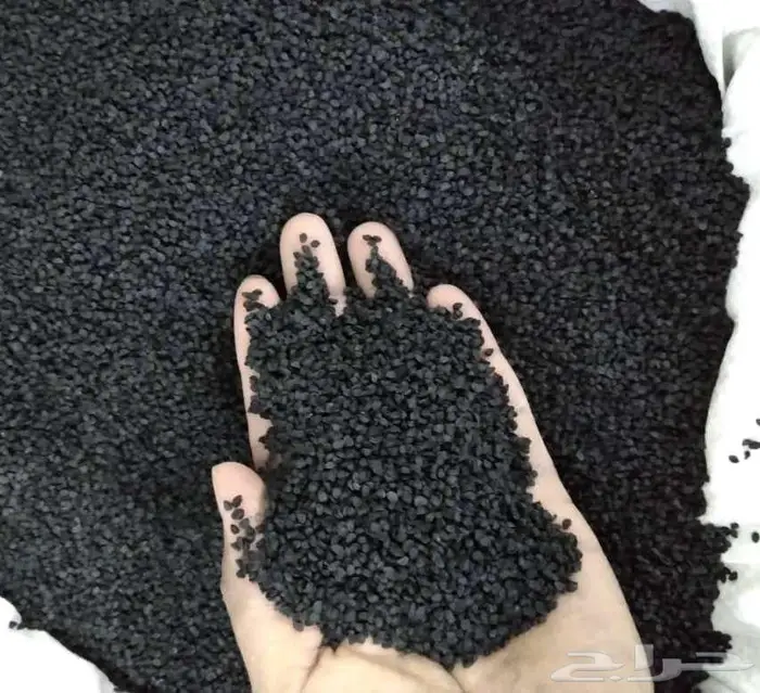 بذور بصل يمني أحمر بافطيم 2