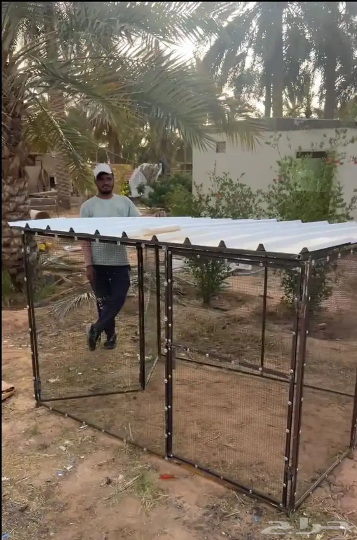 شبك جديد ( يتسفط ) 0