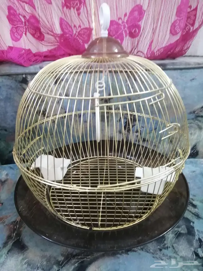 قفص طيور.. 2