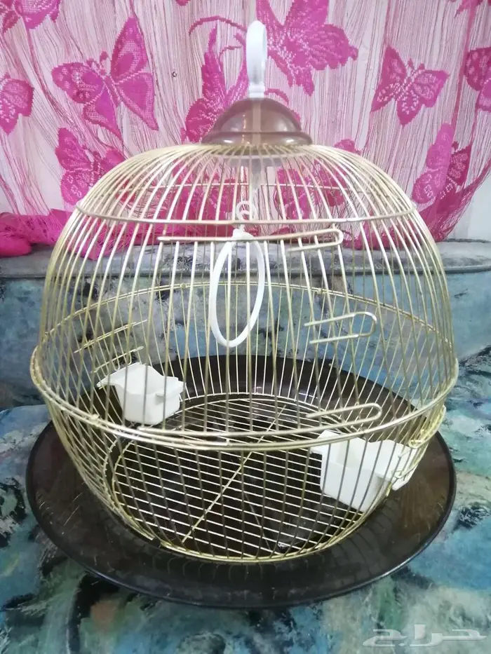 قفص طيور.. 0