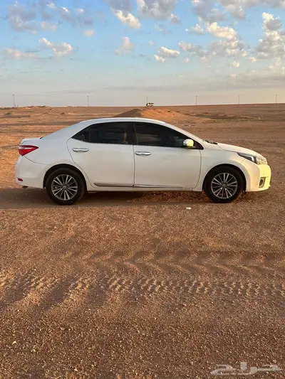 كورولا 2014 1